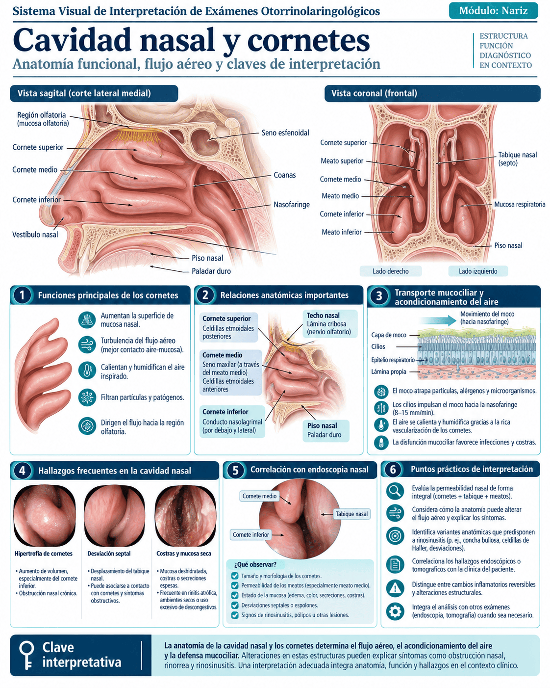 Muestra del sistema ORL: página 7