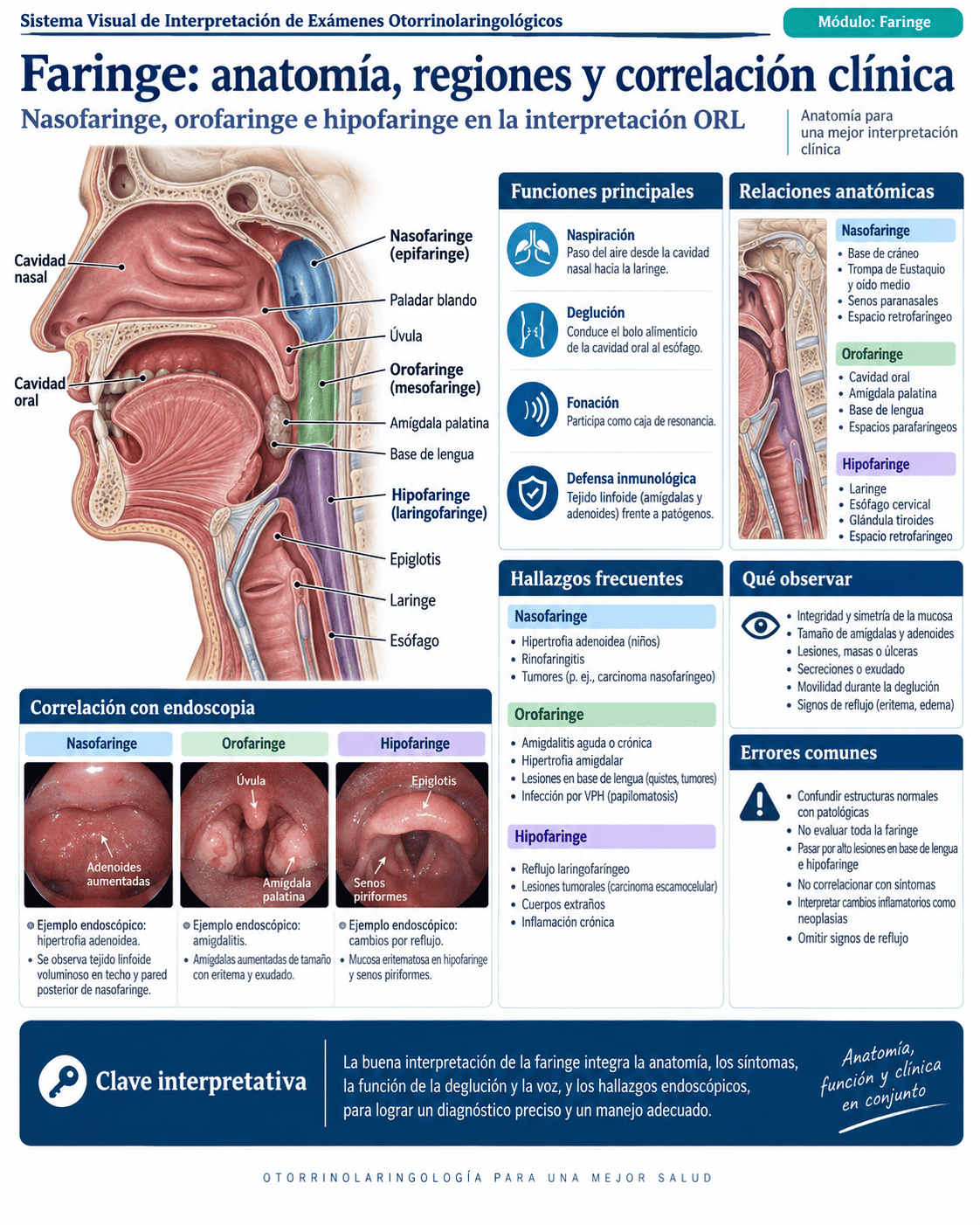 Muestra del sistema ORL: página 9